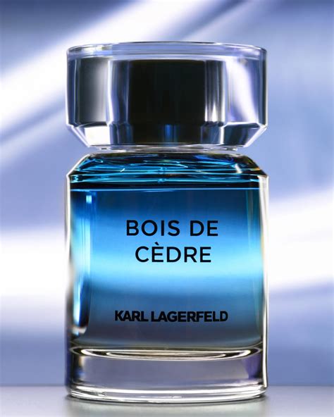 parfum bois de cedre